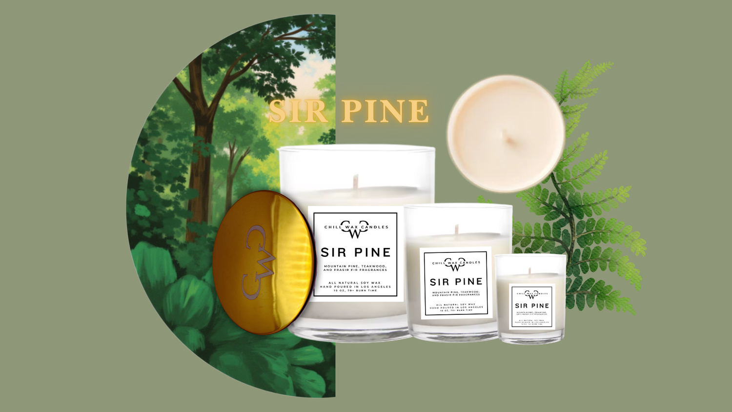 The Sir Pine Collection