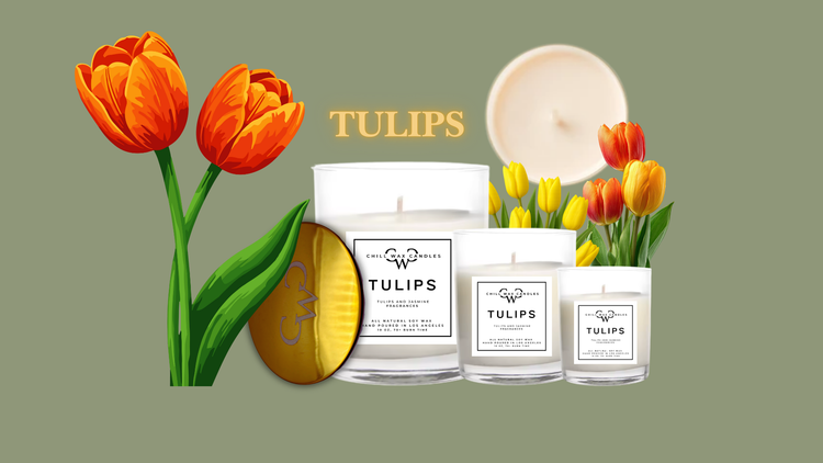The Tulips Collection
